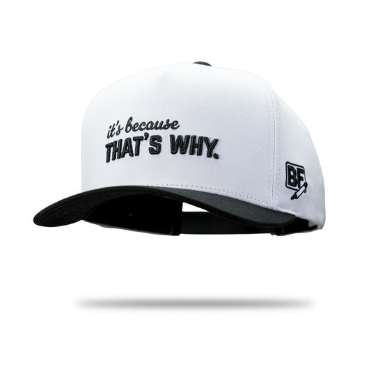 "It's Because That's Why." Hat